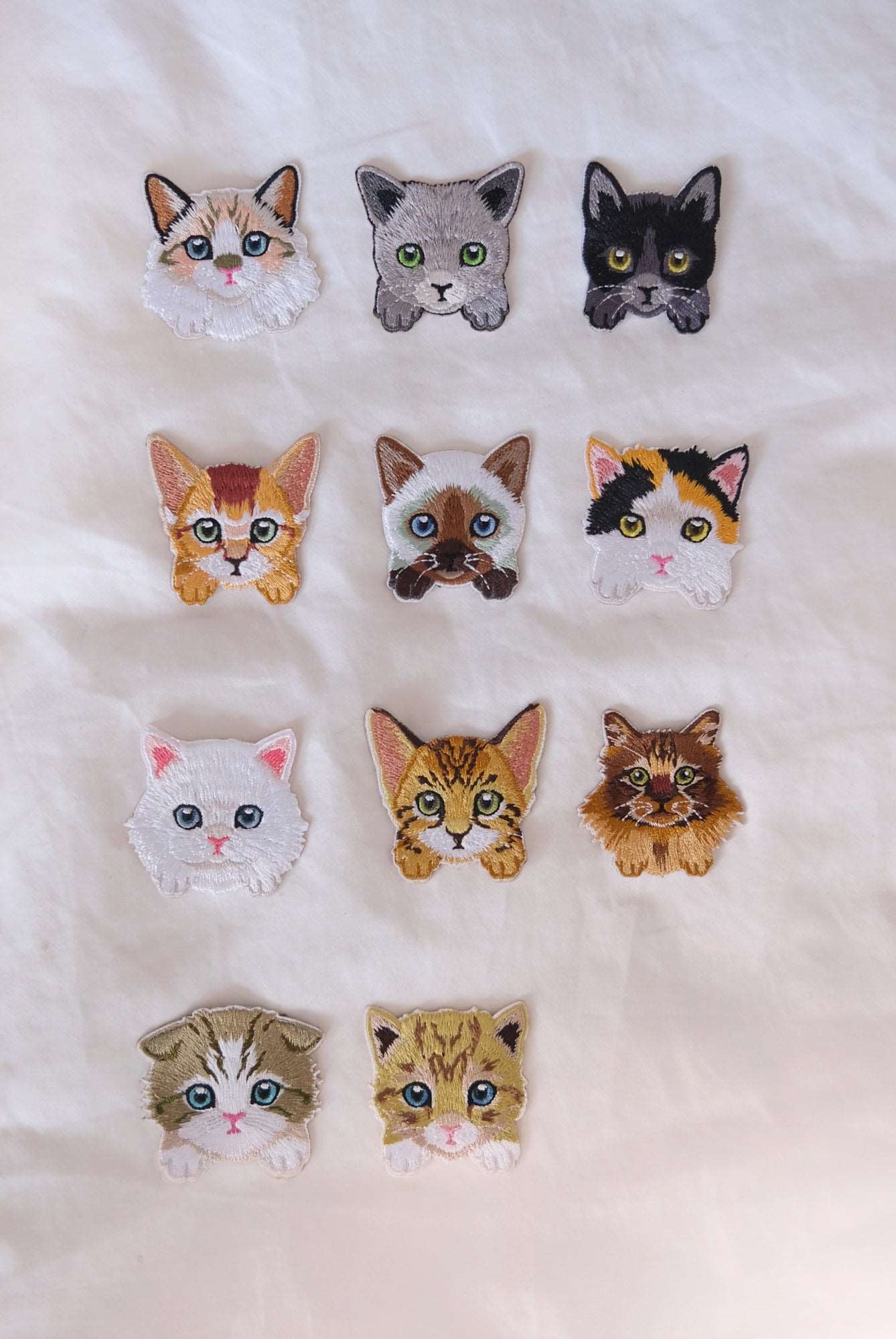 Abyssinian Kitten Iron-on Patch